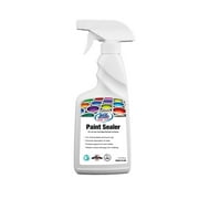 Rainguard Premium Paint Sealer, 16 Oz