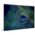 thumbnail image 5 of Marmont Hill "Plume Robin Dickinson" by Robert Dickinson Painting Print on Canvas, 5 of 7