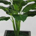 thumbnail image 2 of Plante Artificielle Presque Naturelle, 2 of 6