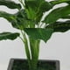 thumbnail image 3 of Planta Artificial de hoja perenne grande de 50CM, 25 hojas, arbusto realista, plantas en maceta, árbol verde de plástico, decoración para el hogar, jardín y oficina Xemadio 2027243, 3 of 7