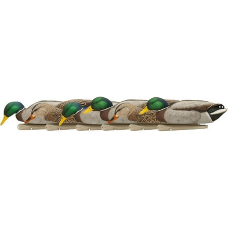 Avian X Topflight Backwater Mallards Duck Decoys Pack Ultra Realistic Floating Mallard Hunting Decoy 3 Feeding Postures Multicolor 6 Pack