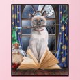 thumbnail image 1 of Cuadros Decorativos 11CT punto de cruz completo gato mágico estampado DIY Animal impreso pared arte hogar manualidades Ndcxsfigh Nuevos Originales, 1 of 9