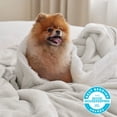 thumbnail image 2 of Manta Bedsure Sherpa de forro polar tamaño queen, 220 g/m², para invierno, 2 of 7