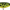 MF Frog, variant on Berkley Choppo Topwater Fishing Lure, Bone, Size 90