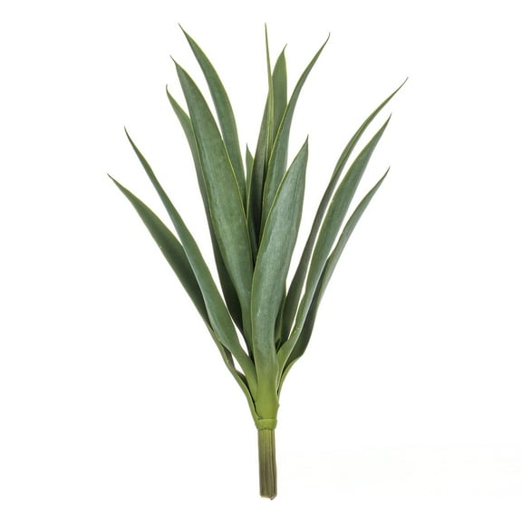 16" Green Yucca Stem 3/Bag