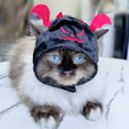thumbnail image 1 of Sunflower Pet Halloween Hat For Cats And Dogs, Cartoon Style, Embroidered, One Size, 1 of 6