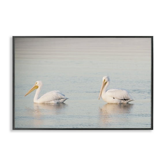 Stupell Industries Pelicans on Calm Waters Animals Photography Black Framed Art Print Wall Art, 18 x 12