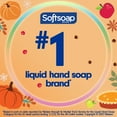 thumbnail image 4 of Softsoap Limited Edition Apple Liquid Hand Soap, 7.5 oz, 4 of 15
