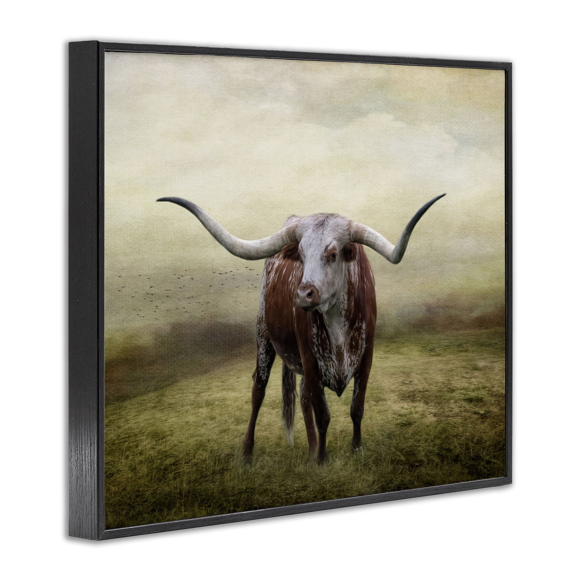 Stupell Industries Pride Of The Longhorn Animals & Insects Photography Black Framed Art Print Wall Art, 30 x 24