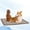 Brown, variant on YouLoveIt Dog Mat Summer Pet Mats Washable Portable Pad for Dogs Cats Pets,Reusable Non-Slip Blanket for Grate Sofa Bed Outdoor Indoor