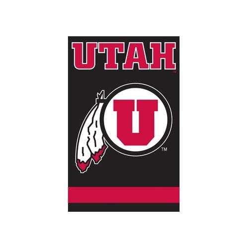 The Party Animal, Inc NCAA Appliqu House Flag