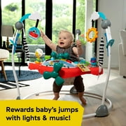 Ocean Explorers Airplane Adventure Infant Baby Activity Center Jumper, Ages 6 Months and up