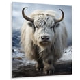 thumbnail image 2 of Designart "Portrait In Yaks Winter I" Animals Metal Wall Decor, 2 of 5