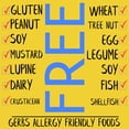 All Purpose Gluten Baking Flour 2 LB Bag Top 14 Food Allergy Keto all-purpose-gluten-baking-flour-2-lb-bag-top-14-food-allergy-keto