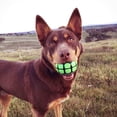 thumbnail image 3 of Dog Balls Toys Dawg Grillz Squeaky Fetch para perros grandes, 3 of 6
