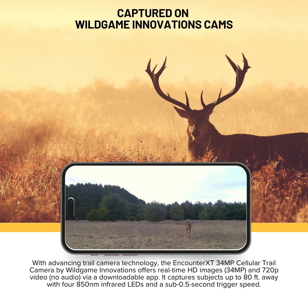 Wildgame Innovations Encounter XT Cellular 34MP Trail Camera with 720p Video Capture Bundle with 32GB Ultra SDHC UHS-I Memory Card and 4-In-1 USB Card Reader (Black) (3 Items)