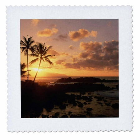 3dRose Sunset, North Shore, Oahu, Hawaii, USA - US12 DPB1450 - Douglas Peebles - Quilt Square, 12 by