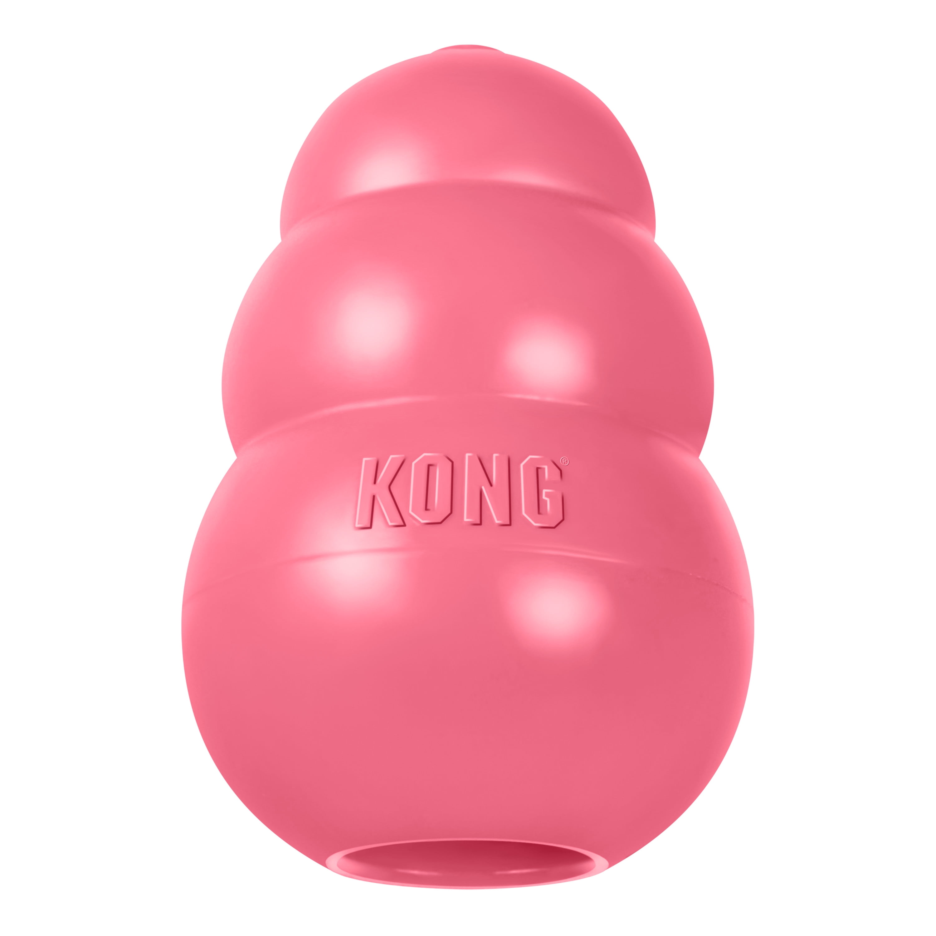 6-Piece Puppy Starter Kit with Wire Crate, Crate Bed, Collar, Leash & KONG Toy