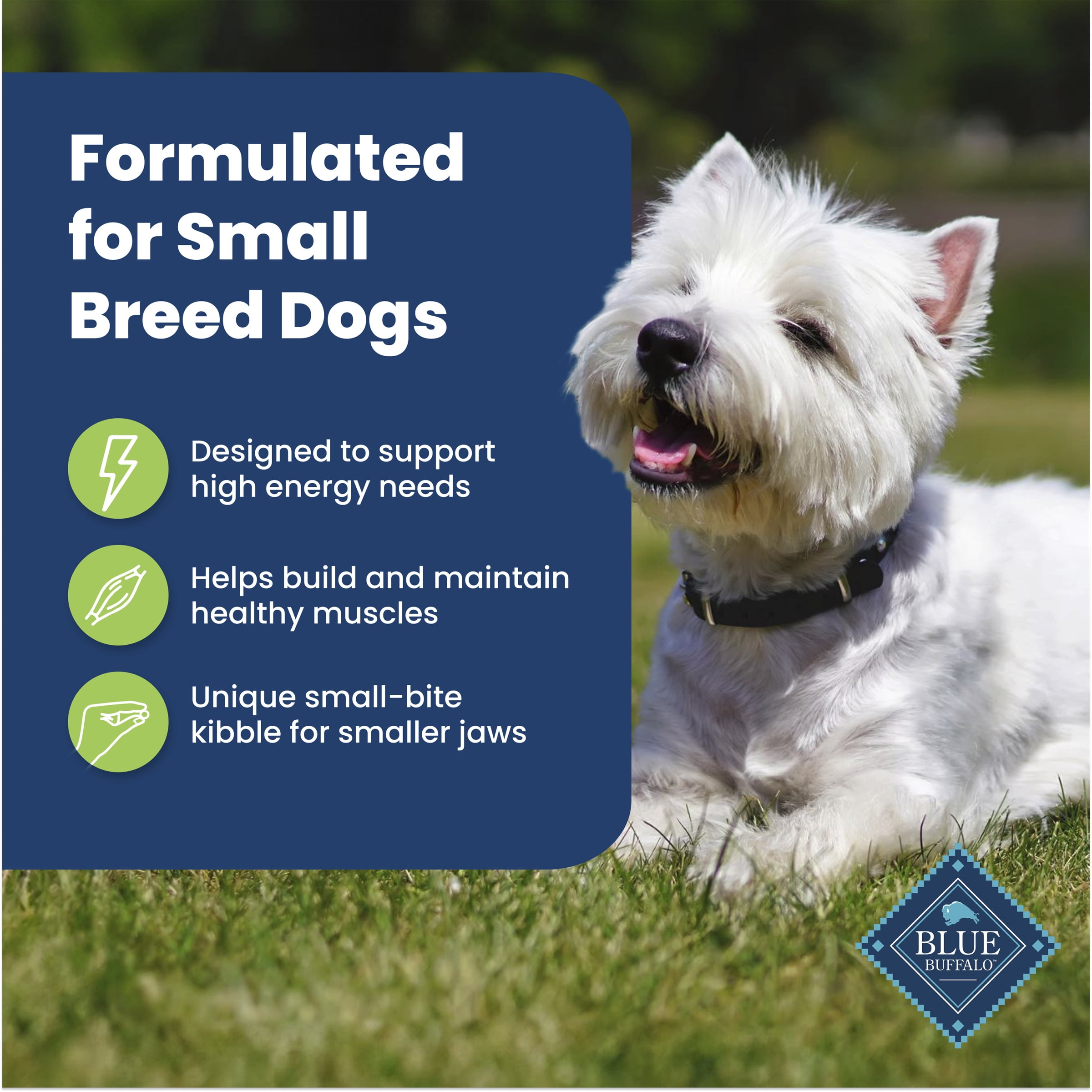 BLUE Life Protection Formula Small Breed Adult Lamb & Brown Rice Dry Dog Food 4.99kg