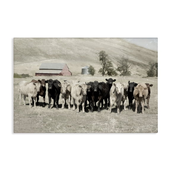 Stupell Industries Rustic Lodge Varied Cattle on Farm Canvas Art, 24 x 16, by Rhonda Addison