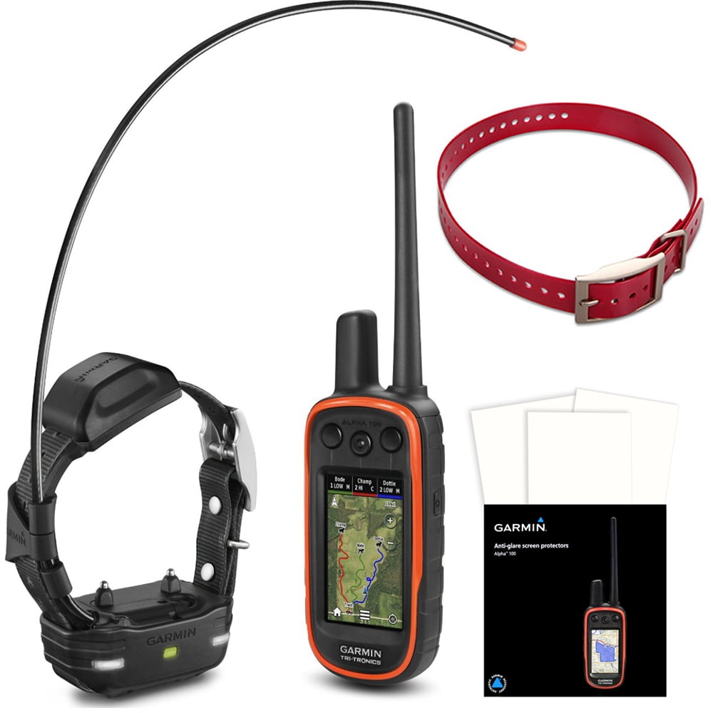 garmin alpha track and train system