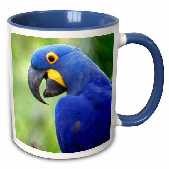 3drose, Brazil, Pantanal, Endangered Hyacinth Macaw, Birds - Sa04 Kwi0095 - Kymri Wilt, 11oz Two-tone Blue Mug