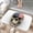 Skull with American, variant on 1pc US Navy Absorbent Non-Slip Bathroom Thickened Flannel Rug Decor,Soft,Quick Drying,Suitable For Indoor/outdoor Use,Bathrooms,Bedrooms,Kitchens,Terrace,Laundry Rooms,16"x24"