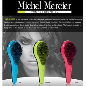Detangler Brush Hair Brush Detangling Brush Michel Mercier-Color May Vary