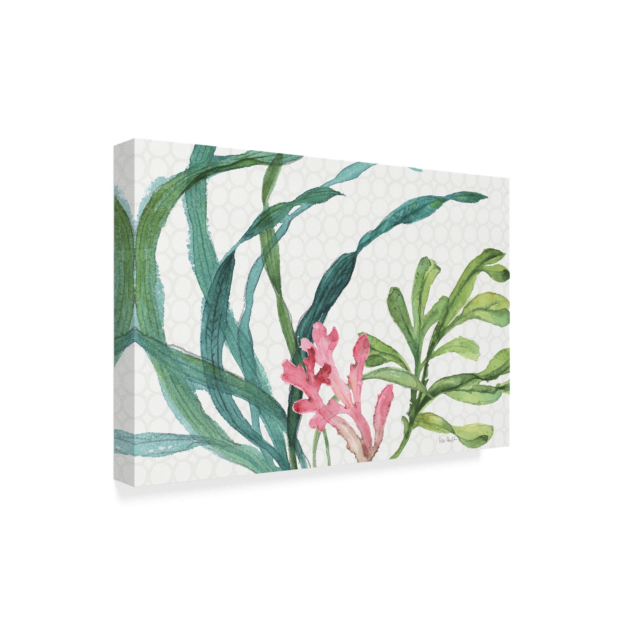 Trademark Fine Art Floral Canvas Art ' Mixed Greens Xvii ' by Lisa Audit