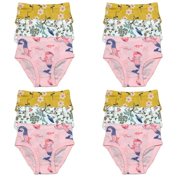 12 Pack Toddler Little Girls Kids Cotton Briefs Underwear, Hipster Panties Size 2T 3T 4T 5T 6T