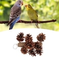 thumbnail image 4 of Juguete de Cono de Pino ANGGREK para Loros Juguete Colgante Resistente A Mordeduras, 4 of 8