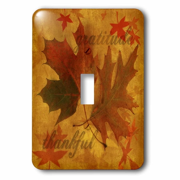 3dRose, Autumn Leaves with Gratitude, single toggle switch
