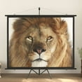 thumbnail image 1 of vidaXL Projection Screen with Tripod 100" 4:3, 1 of 3