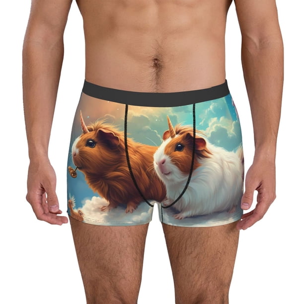 Balery Cloud Guinea Pig Calzoncillos bóxer para hombre, ropa interior de algodón suave y transpirable con cinturilla de nailon-XX-Large