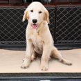 thumbnail image 3 of Cute reusable absorbent dog training urinal pad, 3 of 5