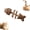 Insect Gall Fruit1, variant on Catnip and Silvervine Chew, Catnip & Silvervine Chew Fish, Fish Bone Shaped Chewing, Natural Dental Care Chewing for Cats