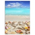 thumbnail image 2 of Design Art - Étoile de Mer des Caraïbes, 2 of 3