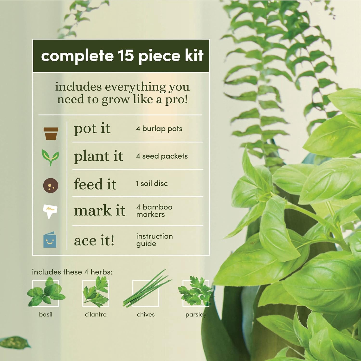 Herb Garden Growing Kit + Herb Grinder - Complete Kitchen Gardening Kit to Easily Grow 4 Culinary Herbs from Seed (Basil, Cilantro, Chives, Parsley) + Comprehensive Guide - Unique Gift for Women & Men