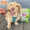 thumbnail image 4 of Nylabone Nutri Dent Fresh Breath Flavored Dental Dog Chew Treats Medium (20 Count), 4 of 12