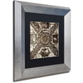thumbnail image 2 of Trademark Fine Art "Giardini Italiano V" Canvas Art by Alan Blaustein, Black Matte, Silver Frame, 2 of 4