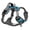 Blue, variant on Adventure No-pull Harness