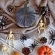 thumbnail image 5 of Calabazas de terciopelo para Halloween, decoración súper suave y rellena con exquisitos detalles., 5 of 6
