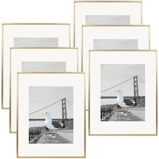 , 16X20 Picture Frame Matted To 11X14 Aluminum Metal Photo Frames Real