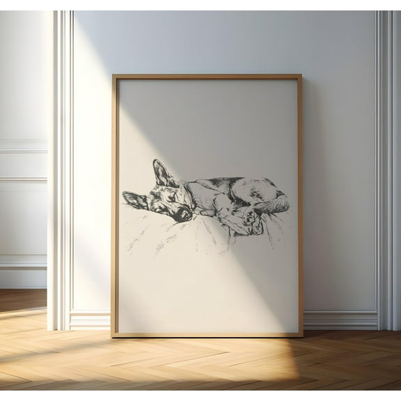 Sleeping German Shepherd Sketch, Dog Vintage Print, Dog Wall Decor, Antique Vintage Painting, Dog Drawing Art, German Shepherd Illustration Wall Art, Modern Wall Decor, 8x12 UNFRAMED