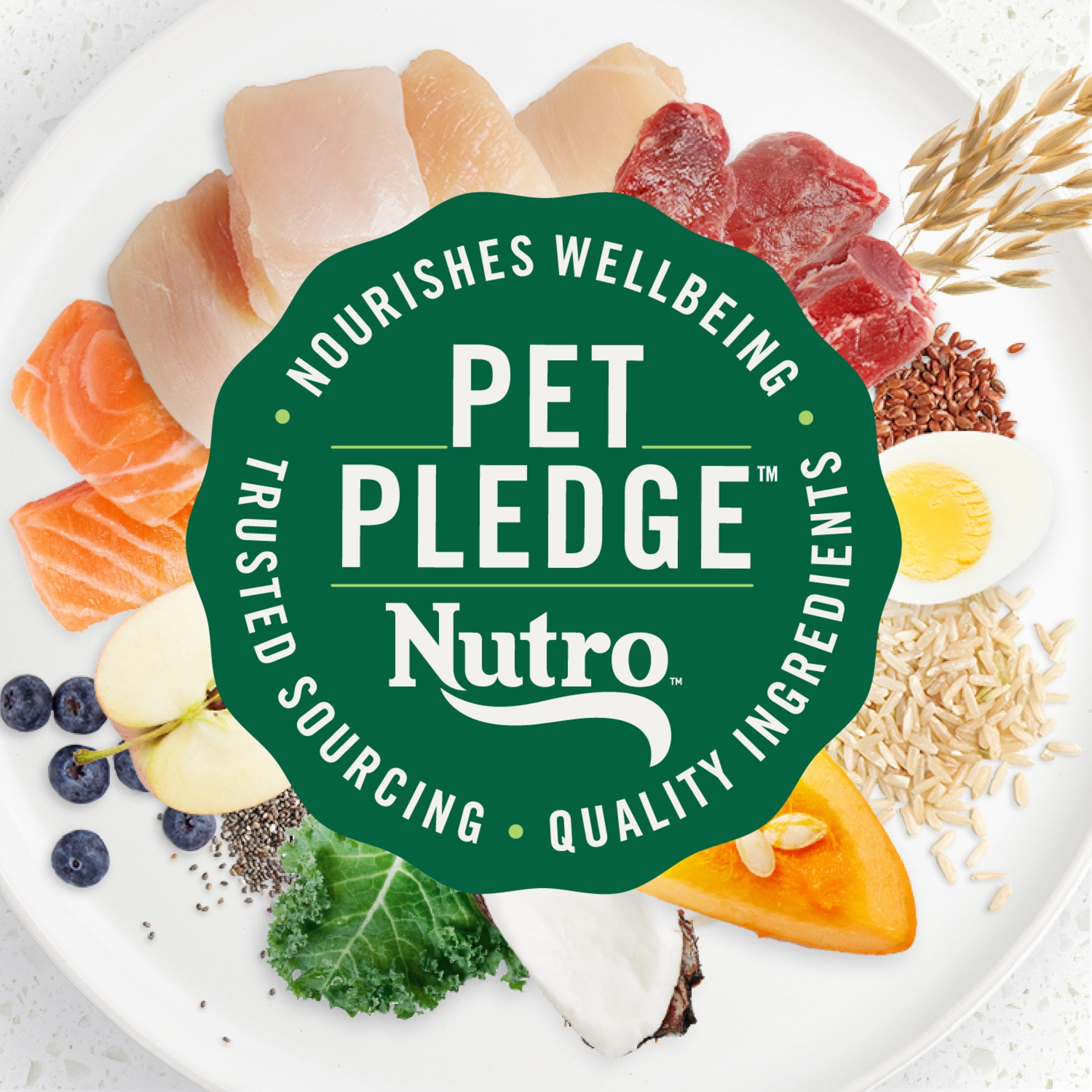 Nutro Ultra Adult Toy Breed Dry Dog Food, Trio of Proteins from Chicken, Lamb and Salmon, 3.5 lb Bag