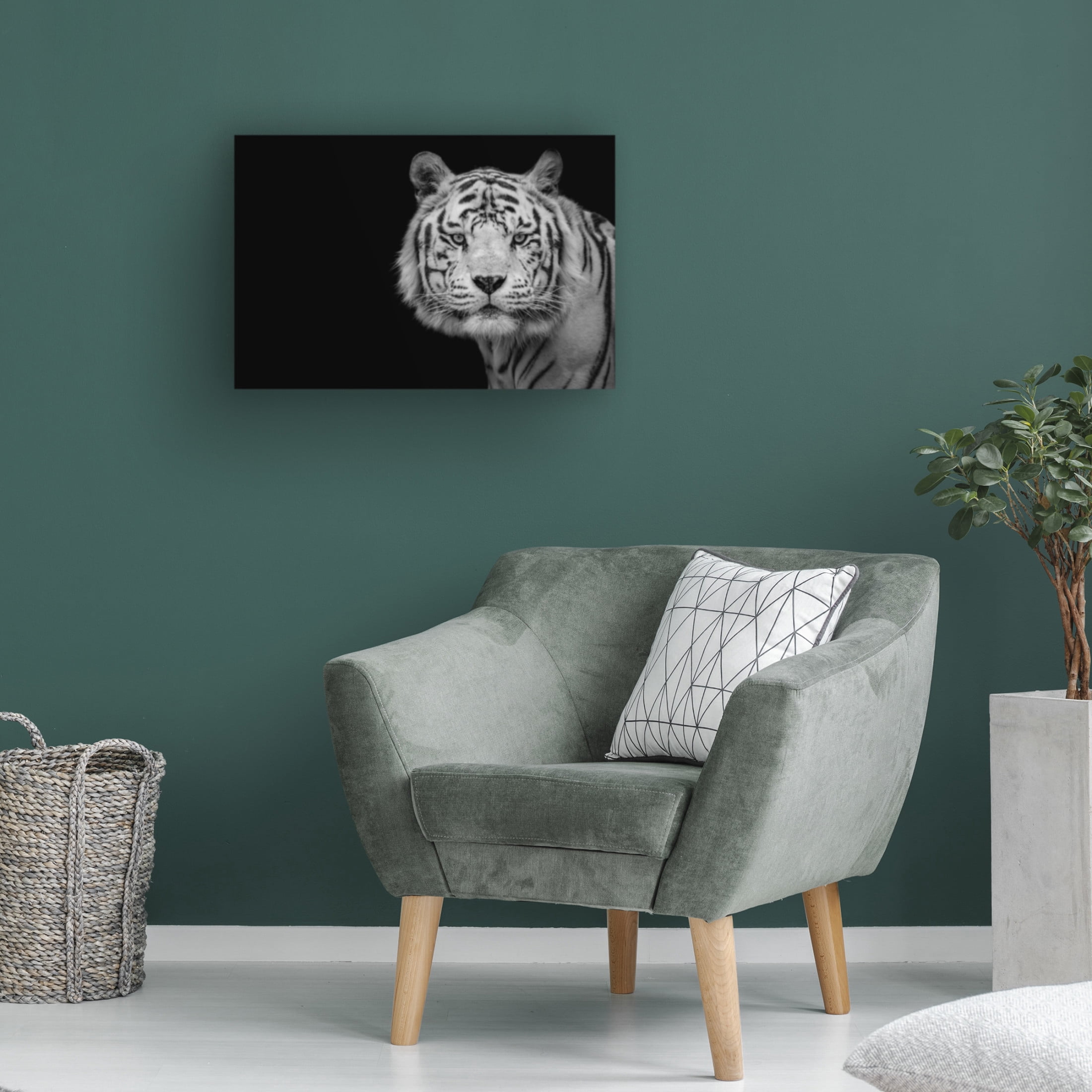 Trademark Fine Art Nauzet Baez Photography Bengal White Tiger Canvas Wall Art