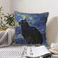 thumbnail image 6 of Kll Shambhala Cat Decorative Throw Pillow Covers Velvet Soft For Couch Sofa Bedroom Living Room Outdoor -20"X20", 6 of 8