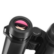 Zeiss SFL 8x40 Binoculars, Black