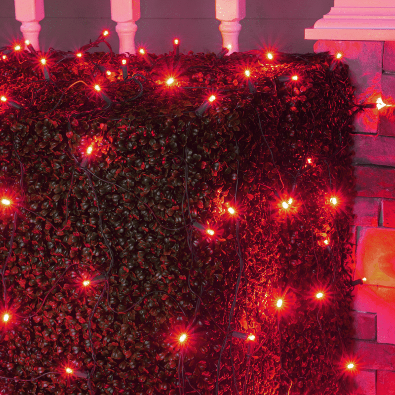 Wintergreen Lighting Red LED Net Lights Christmas Net Lights, 100 5mm