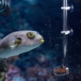 thumbnail image 3 of Alimentador De Acuario Con 2 Ventosas Accesorio Para Tanque De Peces Alimentador De Tanque De Peces Acuario Tanque De Peces Doméstico Para Camarones De Cristal Para Peces ANGGREK Mascotas, 3 of 8
